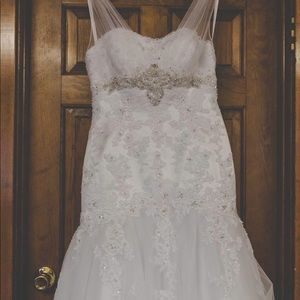 Wedding Dress and Veil